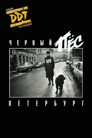 DDT: Black Dog Petersburg's poster