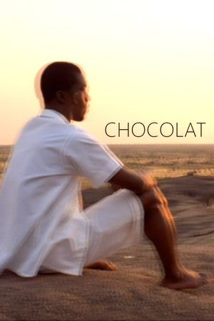 Chocolat's poster