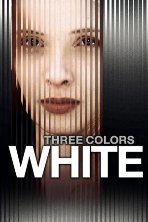 Three Colors: White's poster