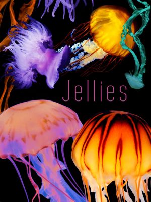 The Art of Nature: Jellies's poster
