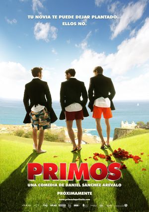Cousinhood's poster