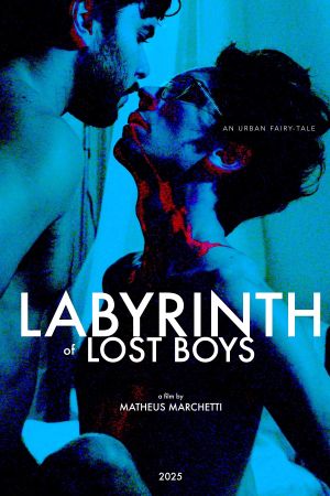 Labyrinth of Lost Boys's poster