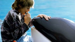 Free Willy's poster