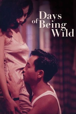Days of Being Wild's poster