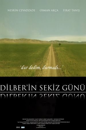 Dilber's Eight Days's poster