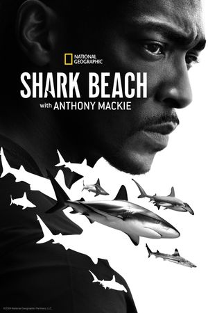 Shark Beach with Anthony Mackie's poster