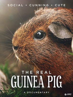 The Real Guinea Pig's poster