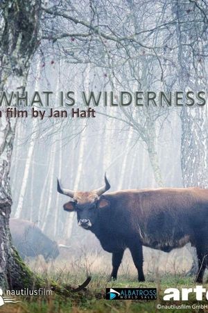 What is Wilderness's poster