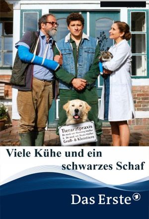 Viele Kühe und ein schwarzes Schaf's poster
