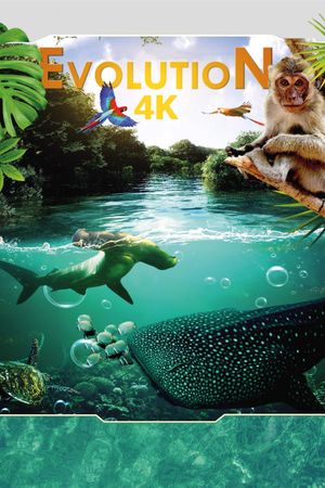 Evolution 4K's poster