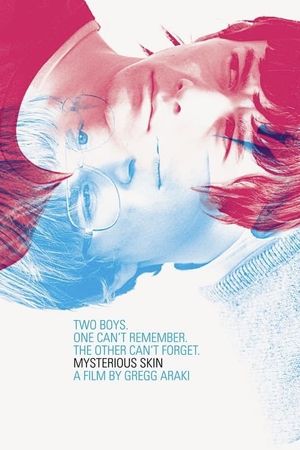 Mysterious Skin's poster