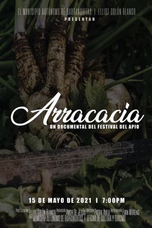 Arracacia: A Celery Festival Documentary's poster image