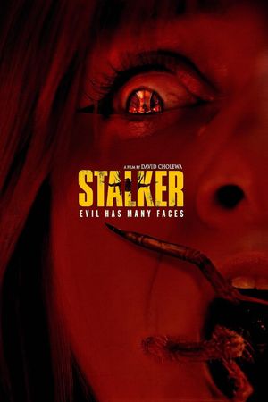 Stalker's poster