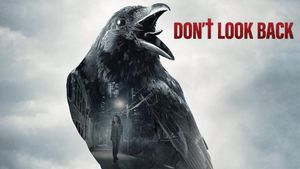 Don't Look Back's poster