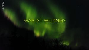 What is Wilderness's poster