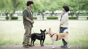 Dogs Without Names's poster
