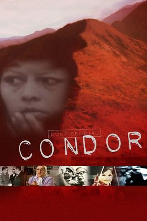 Condor's poster image