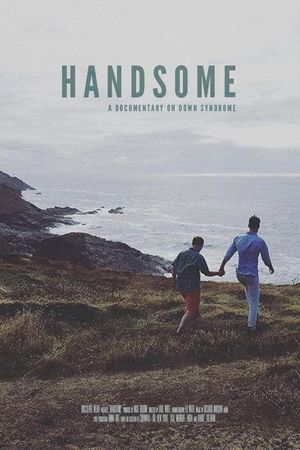 Handsome's poster