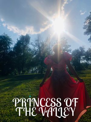 Princess of the Valley's poster