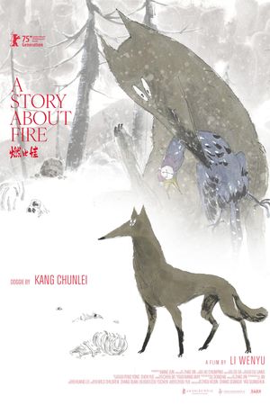 A Story About Fire's poster