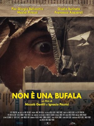 Non è una bufala's poster