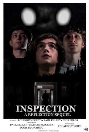 INSPECTION: A REFLECTION SEQUEL's poster