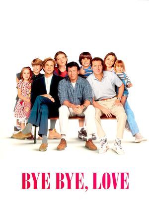 Bye Bye Love's poster