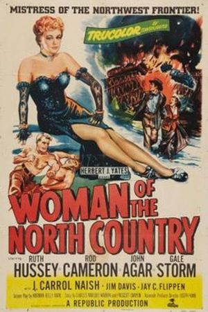 Woman of the North Country's poster