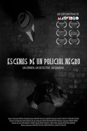 Scenes from a film noir's poster