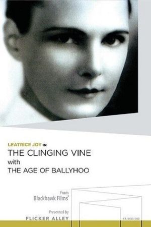 The Age of Ballyhoo's poster