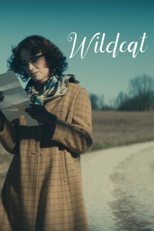 Wildcat's poster