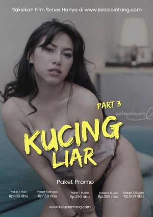 Kucing Liar Part 3's poster