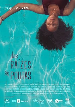 Das Raízes Às Pontas's poster