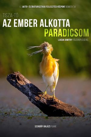 Tisza-tó, az ember alkotta paradicsom's poster