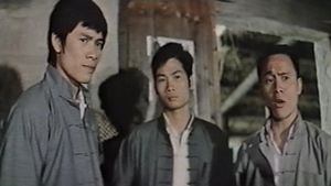 Shaolin Vengeance's poster