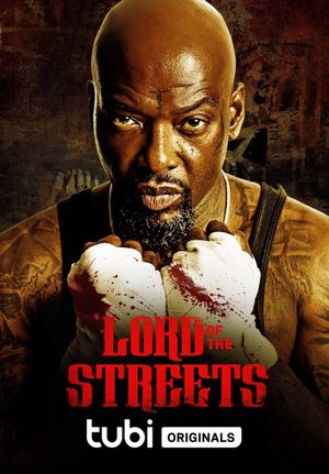 Lord of the Streets's poster