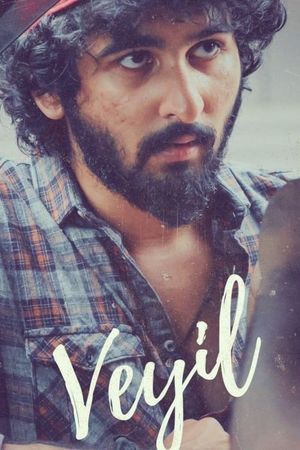 Veyil's poster
