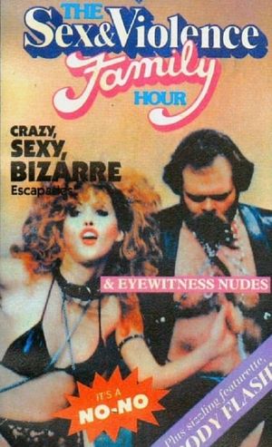 The Sex and Violence Family Hour's poster