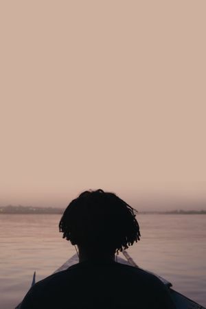 African Apocalypse's poster
