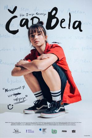 Cao Bela's poster