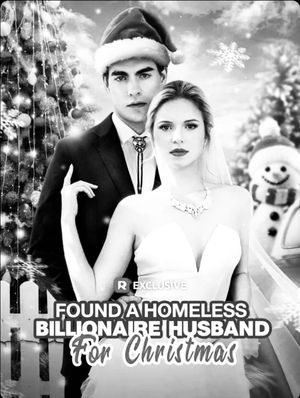 Found A Homeless Billionaire Husband for Christmas's poster