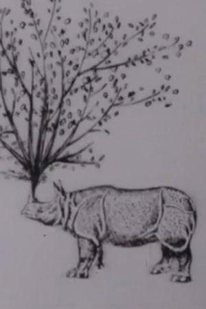 Rhinomorphose's poster