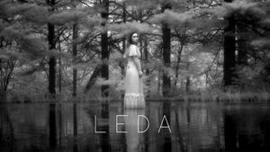 Leda's poster