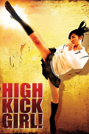 High-Kick Girl!'s poster image