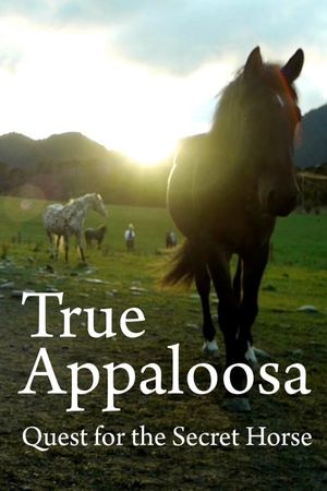 True Appaloosa's poster