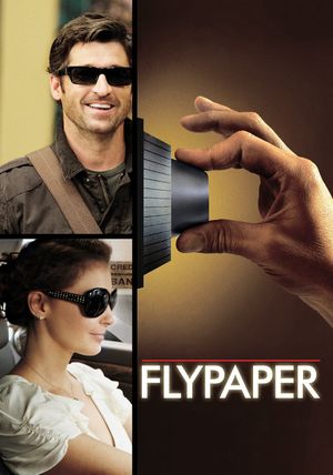 Flypaper's poster