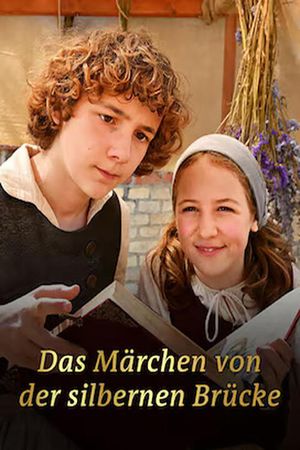 Das Märchen von der silbernen Brücke's poster
