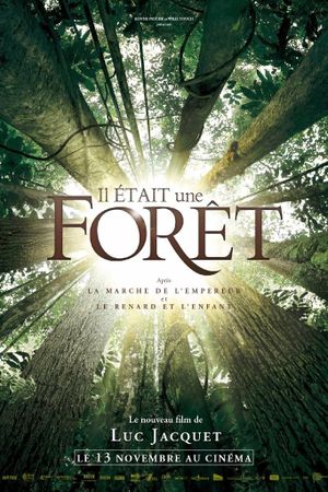 Il était une forêt's poster