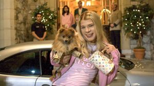 White Chicks's poster