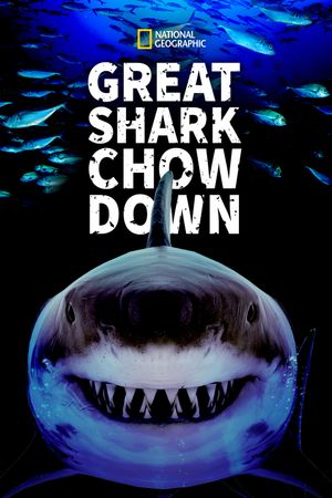 Great Shark Chow Down's poster